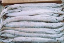 點擊查看商品:冷凍帶魚